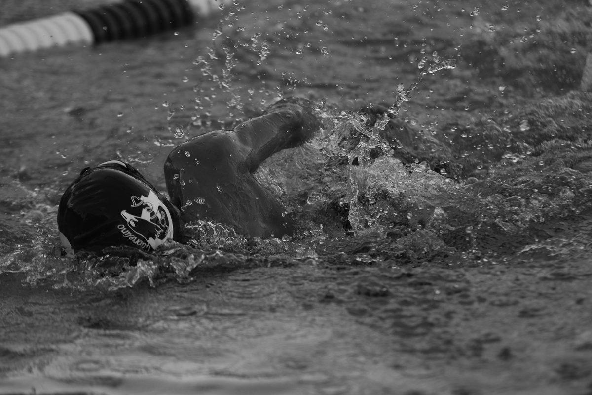 Swim dives into competitive season