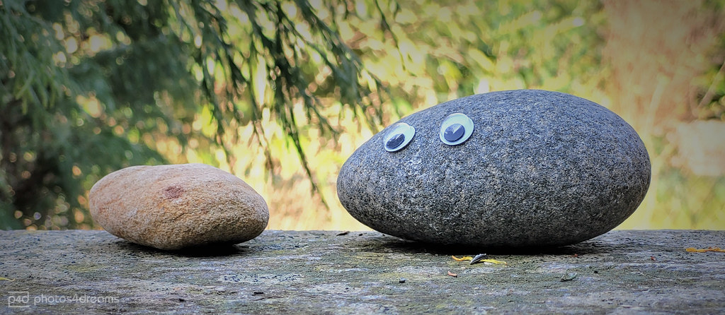 Put googly eyes everywhere!
Photo courtessy of Flickr
