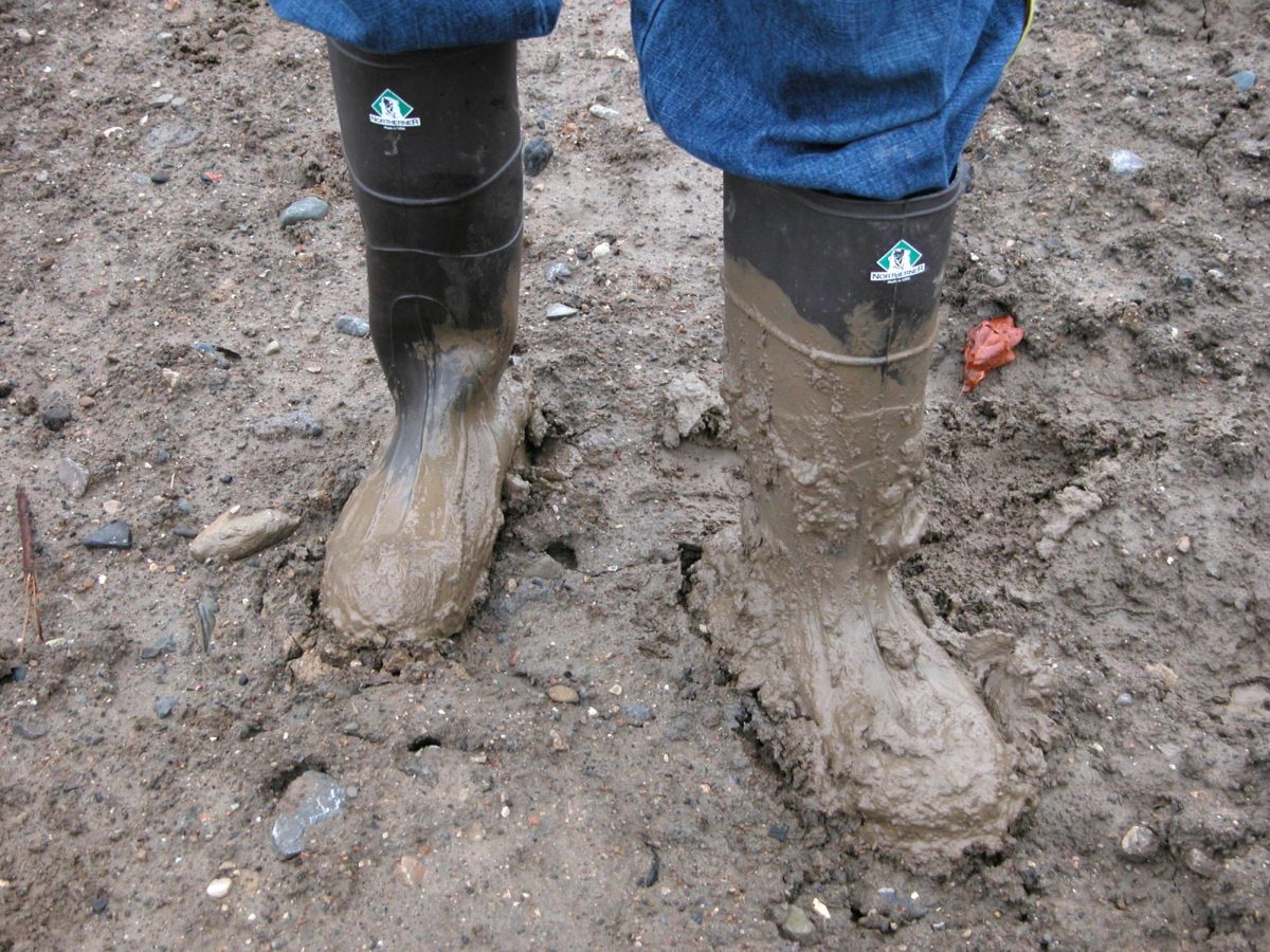 8. Mud