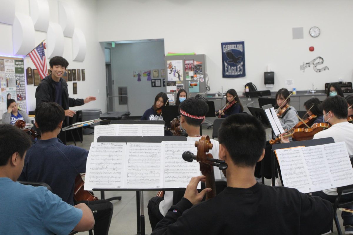 Orchestra, band prepare for Spring concert