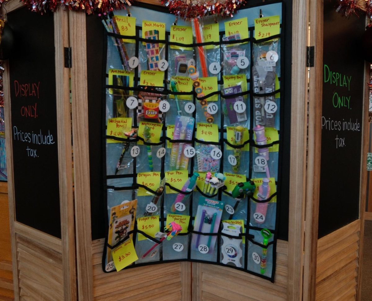 Display of various pens, pencils, and erasers the library had on sale in addition to books.