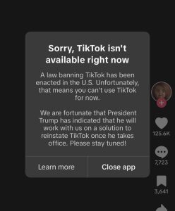 TikTok's Temporary Shutdown: The Battle Between National Security and Digital Culture