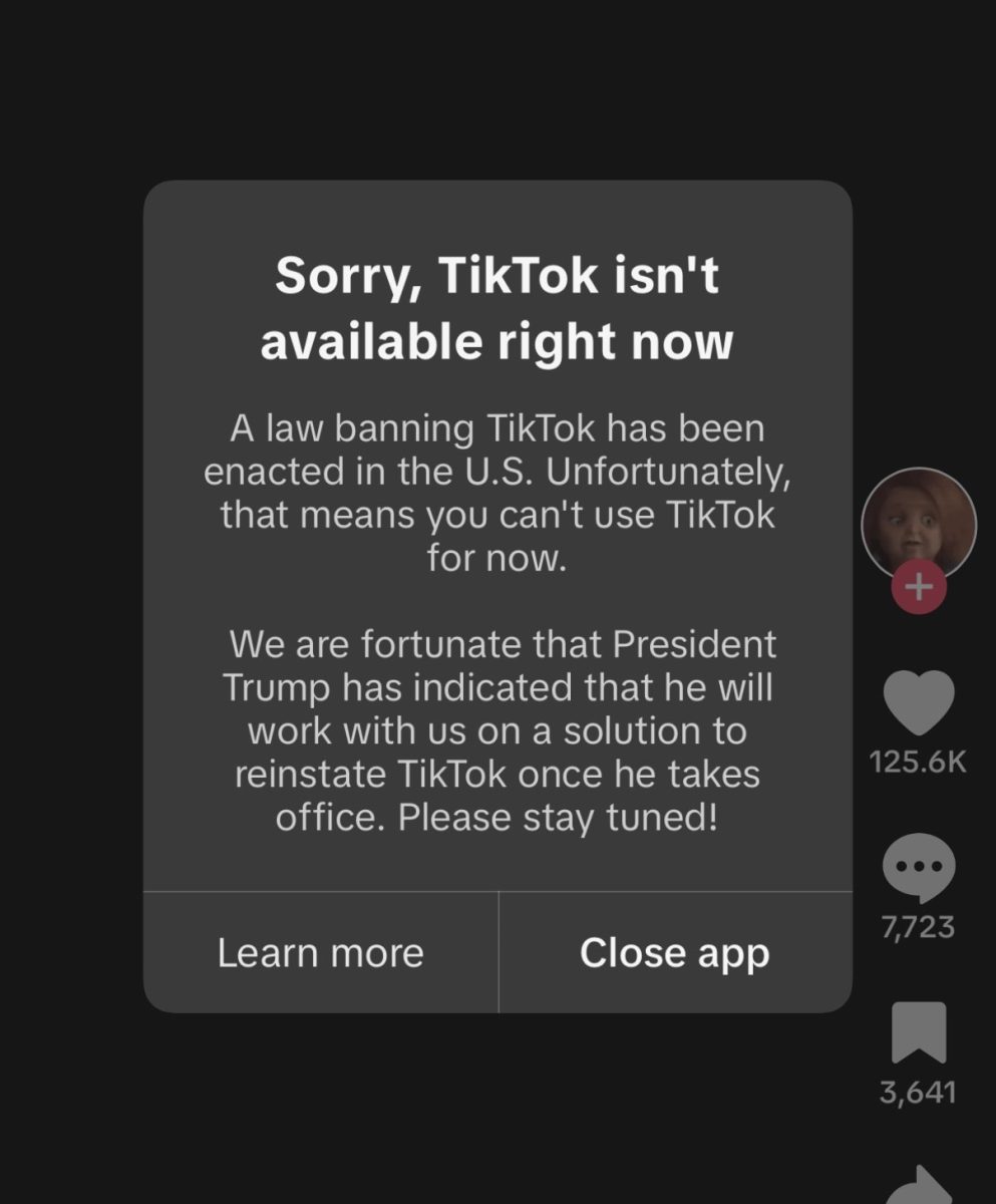 TikTok's Temporary Shutdown: The Battle Between National Security and Digital Culture