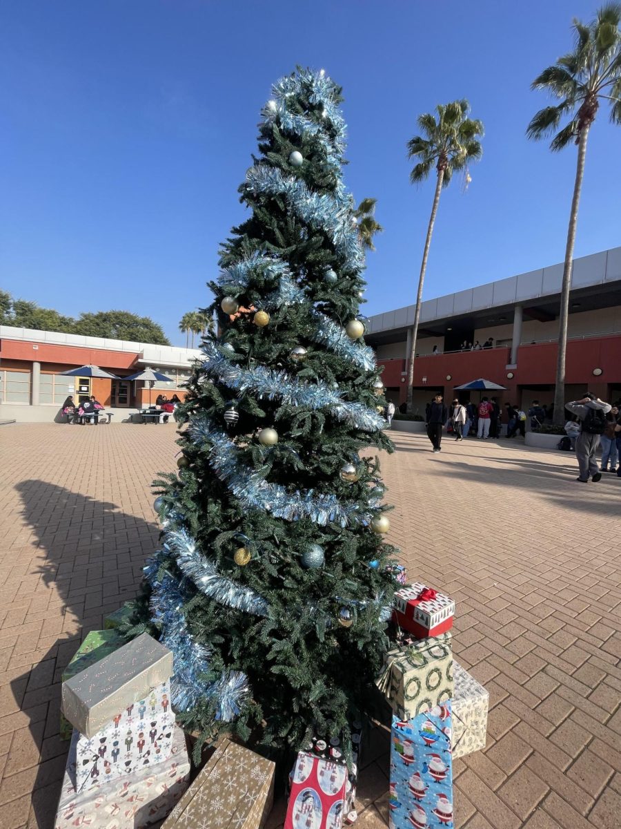 Is Christmas break too short?